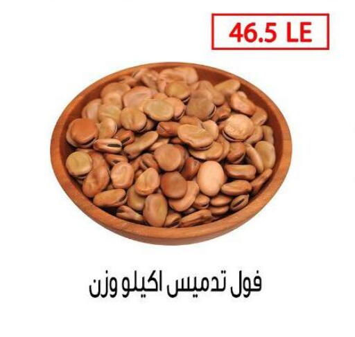 البقول، الفول والحبوب in بن سليمان, Egypt Offers - Egypt available at بن سليمان in Egypt - القاهرة
