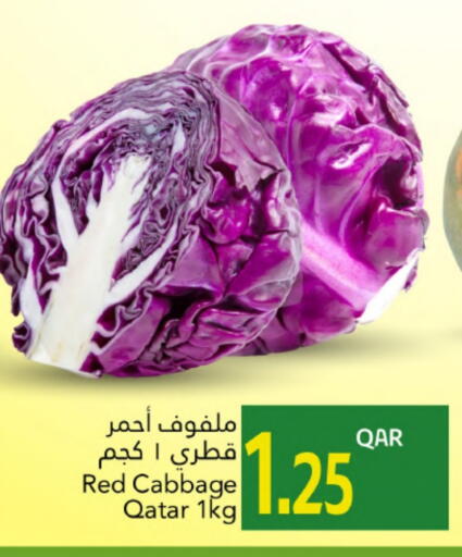 Cabbage from Qatar available at Gulf Food Center in Qatar - Al Khor