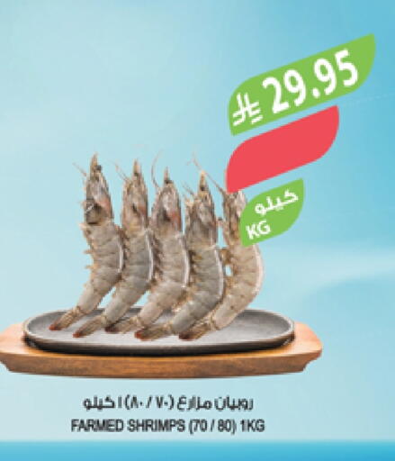 الأسماك الطازجة in المزرعة, المملكة العربية السعودية Offers - المملكة العربية السعودية available at المزرعة in مملكة العربية السعودية, السعودية, سعودية - عرعر