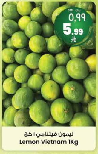 Fresh Fruits in City Flower, Saudi Arabia Offers - Saudi Arabia Lemon from Vietnam available at City Flower in KSA, Saudi Arabia, Saudi - Riyadh