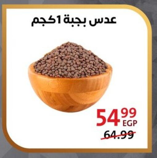 available at داون تاون العرب  in Egypt - القاهرة