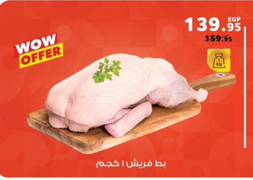 available at بنده in Egypt - القاهرة
