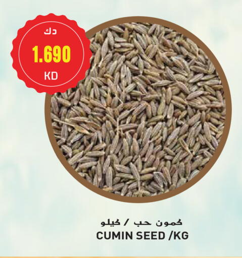 Cumin available at جراند هايبر in الكويت - محافظة الجهراء