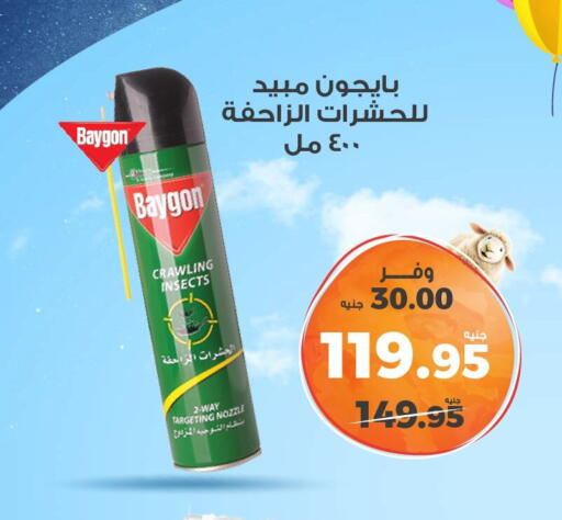 Insect Repellent in Kazyon , Egypt Offers - Egypt BAYGON available at Kazyon in Egypt - Cairo