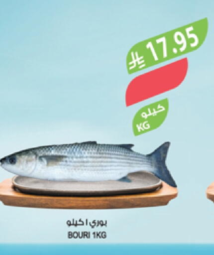 available at Farm  in KSA, Saudi Arabia, Saudi - Qatif