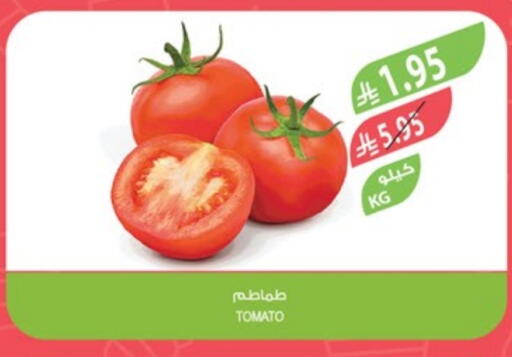Tomato available at Farm  in KSA, Saudi Arabia, Saudi - Al Hasa