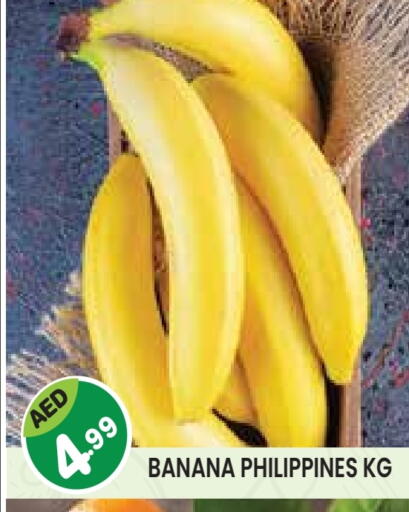 Banana from Philippines available at Baniyas Spike  in UAE - Abu Dhabi