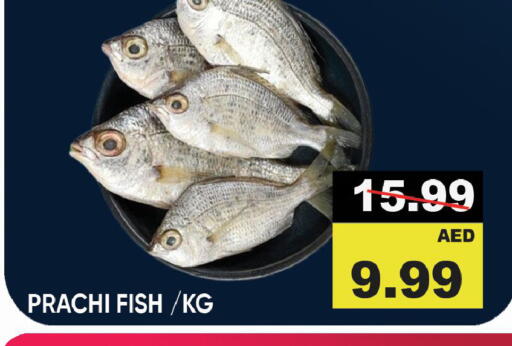 Fresh Fish in Leptis Hypermarket , UAE Offers - United Arab Emirates available at Leptis Hypermarket in UAE - Ras al Khaimah