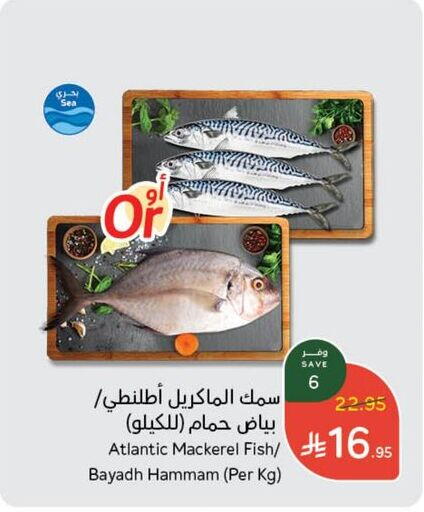 الأسماك الطازجة in هايبر بنده, المملكة العربية السعودية Offers - المملكة العربية السعودية available at هايبر بنده in مملكة العربية السعودية, السعودية, سعودية - خميس مشيط