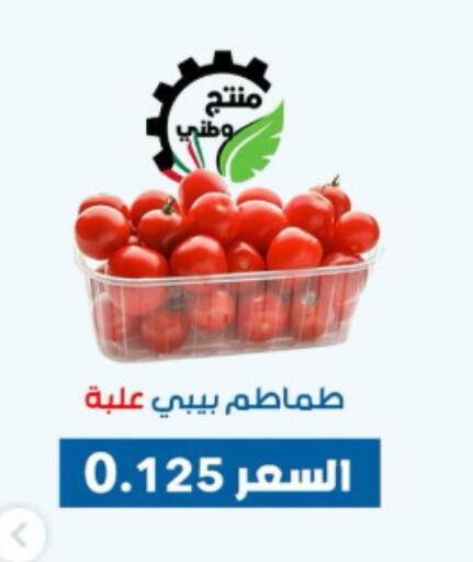Tomato available at Dahiyat Abdullah Al Salem and Mansourieh Cooperative Society in Kuwait - Ahmadi Governorate