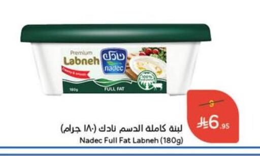 زبادي و لبنة in هايبر بنده, المملكة العربية السعودية Offers - المملكة العربية السعودية نادك لبنة available at هايبر بنده in مملكة العربية السعودية, السعودية, سعودية - القنفذة