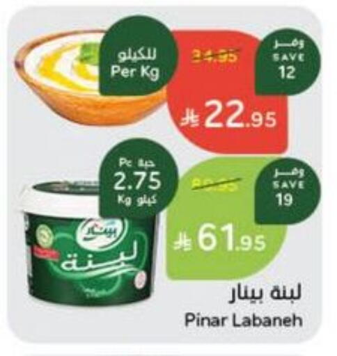 زبادي و لبنة in هايبر بنده, المملكة العربية السعودية Offers - المملكة العربية السعودية بينار لبنة available at هايبر بنده in مملكة العربية السعودية, السعودية, سعودية - القنفذة