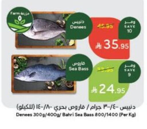 الأسماك الطازجة in هايبر بنده, المملكة العربية السعودية Offers - المملكة العربية السعودية available at هايبر بنده in مملكة العربية السعودية, السعودية, سعودية - خميس مشيط
