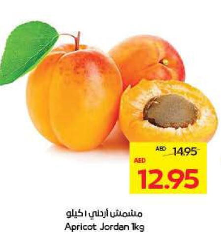 Apricot available at ADCOOP in UAE - Abu Dhabi