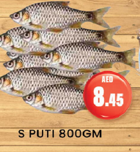 Fresh Fish in Zain Mart Supermarket, UAE Offers - United Arab Emirates available at Zain Mart Supermarket in UAE - Ras al Khaimah