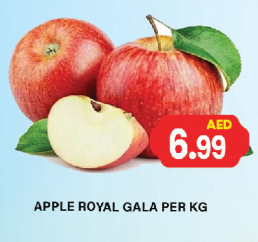 Fresh Fruits in Gulf Hypermarket LLC, UAE Offers - United Arab Emirates Apples available at Gulf Hypermarket LLC in UAE - Ras al Khaimah