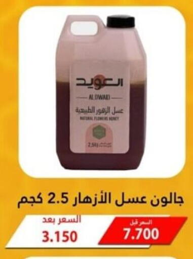 Honey available at Riqqa Co-operative Society in Kuwait - Jahra Governorate
