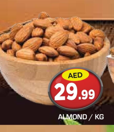available at سنابل بني ياس in الإمارات العربية المتحدة , الامارات - أبو ظبي