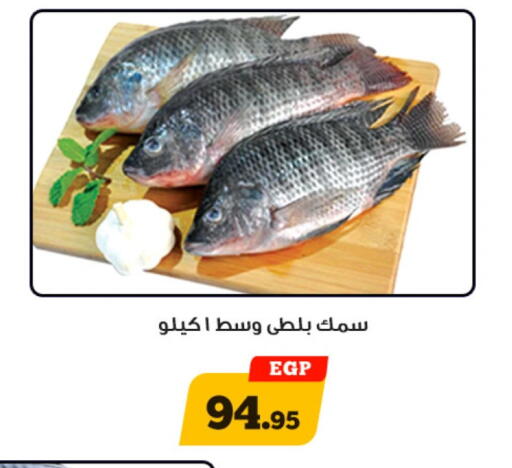 available at أولاد رجب in Egypt - القاهرة