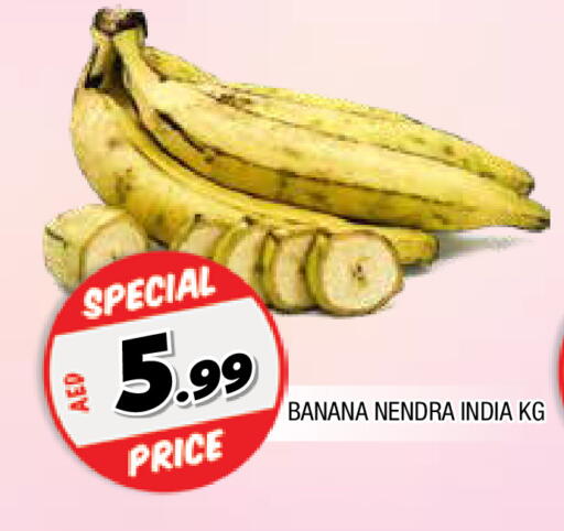 موز from India available at المدينة in الإمارات العربية المتحدة , الامارات - الشارقة / عجمان