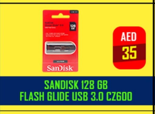 SANDISK Flash Drive available at TechDelas Electronics Trading in UAE - Sharjah / Ajman