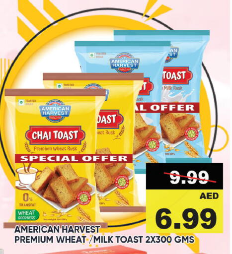 Bread & Buns in Leptis Hypermarket , UAE Offers - United Arab Emirates AMERICAN HARVEST available at Leptis Hypermarket in UAE - Ras al Khaimah