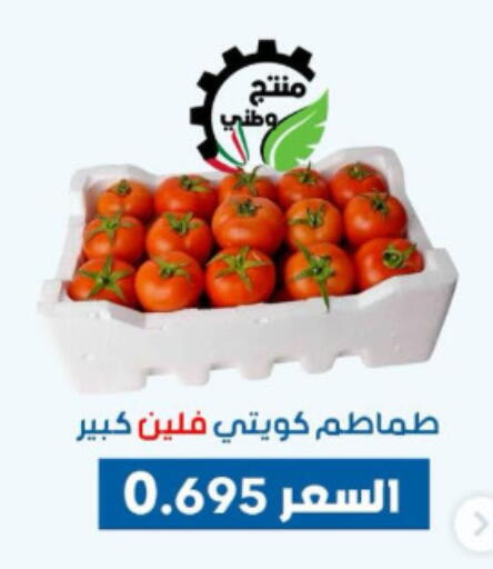 Tomato available at Dahiyat Abdullah Al Salem and Mansourieh Cooperative Society in Kuwait - Ahmadi Governorate