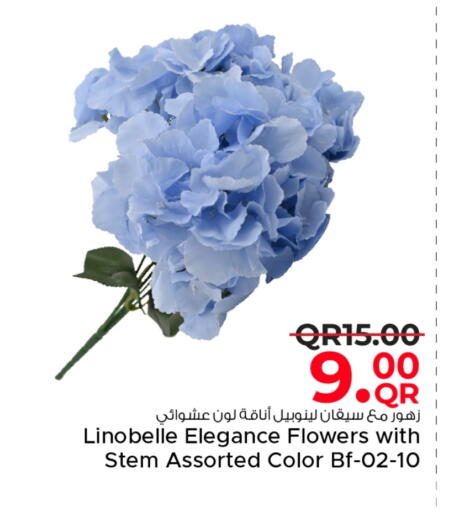 available at مركز التموين العائلي in قطر - الضعاين