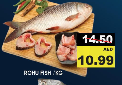 Fresh Fish in Leptis Hypermarket , UAE Offers - United Arab Emirates available at Leptis Hypermarket in UAE - Ras al Khaimah