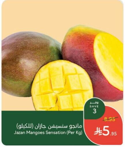 Mangoes available at Hyper Panda in KSA, Saudi Arabia, Saudi - Najran
