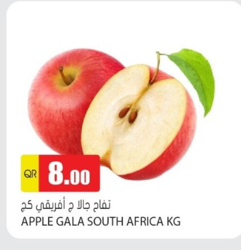 Apples from South Africa available at Grand Hypermarket in Qatar - Al Wakra