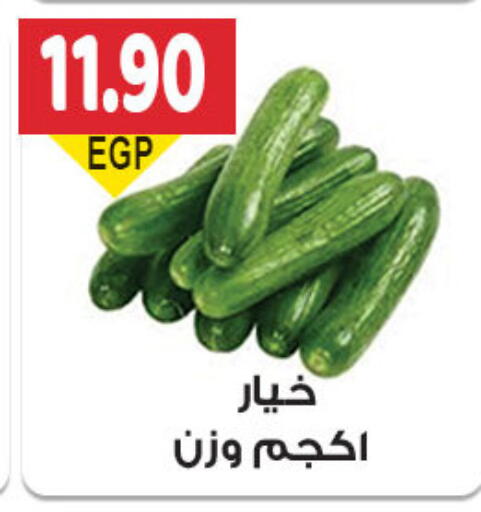Fresh Vegetables in El Gizawy Market , Egypt Offers - Egypt Cucumber available at El Gizawy Market in Egypt - Cairo
