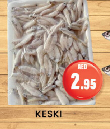 Fresh Fish in Zain Mart Supermarket, UAE Offers - United Arab Emirates available at Zain Mart Supermarket in UAE - Ras al Khaimah