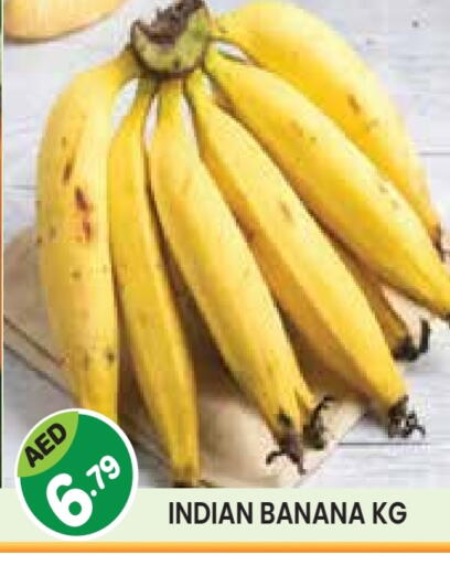 Banana from India available at Baniyas Spike  in UAE - Abu Dhabi