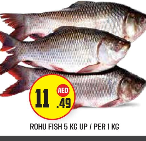 available at Baniyas Spike  in UAE - Abu Dhabi