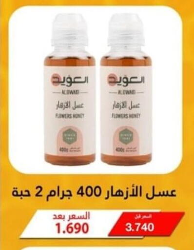 Honey available at Riqqa Co-operative Society in Kuwait - Jahra Governorate