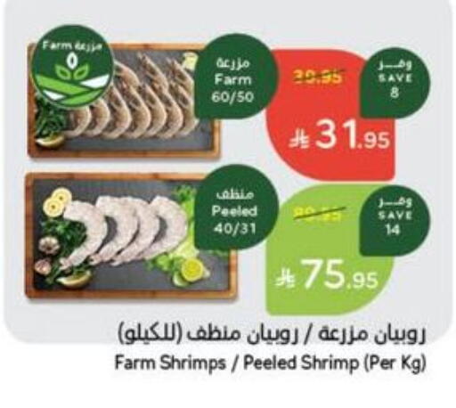 الأسماك الطازجة in هايبر بنده, المملكة العربية السعودية Offers - المملكة العربية السعودية available at هايبر بنده in مملكة العربية السعودية, السعودية, سعودية - خميس مشيط