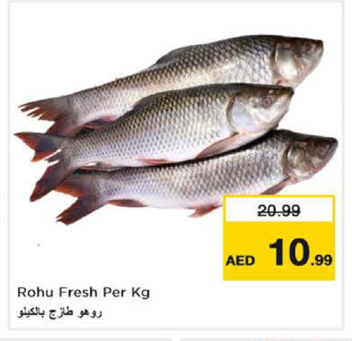 available at Nesto Hypermarket in UAE - Abu Dhabi