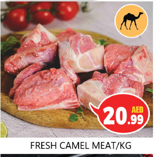لحم حاشي available at سوق المبارك هايبرماركت in الإمارات العربية المتحدة , الامارات - الشارقة / عجمان