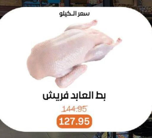 available at بيت الجملة in Egypt - القاهرة