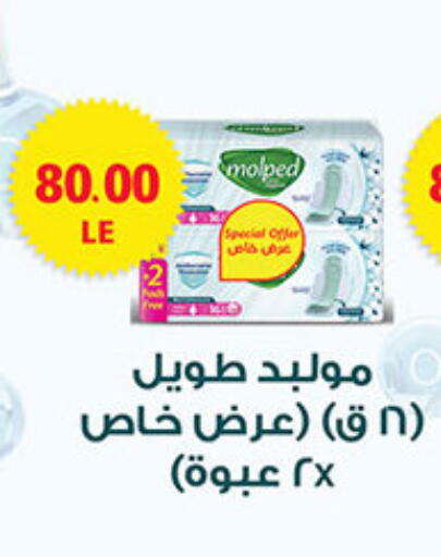 Feminine Hygiene in El Gizawy Market , Egypt Offers - Egypt available at El Gizawy Market in Egypt - Cairo