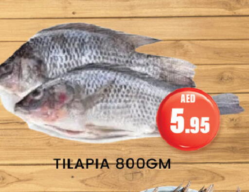 Fresh Fish in Zain Mart Supermarket, UAE Offers - United Arab Emirates available at Zain Mart Supermarket in UAE - Ras al Khaimah