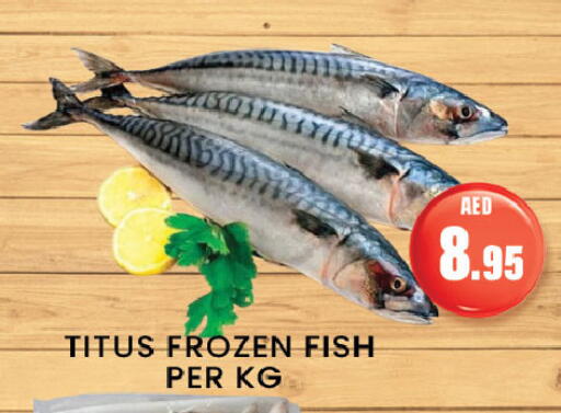 Fresh Fish in Zain Mart Supermarket, UAE Offers - United Arab Emirates available at Zain Mart Supermarket in UAE - Ras al Khaimah
