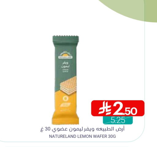 Lemon available at Muntazah Markets in KSA, Saudi Arabia, Saudi - Saihat