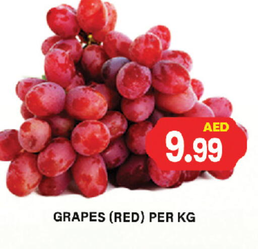 Fresh Fruits in Gulf Hypermarket LLC, UAE Offers - United Arab Emirates Grapes available at Gulf Hypermarket LLC in UAE - Ras al Khaimah