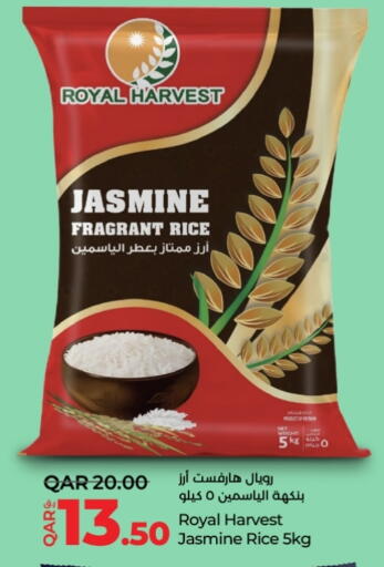أرز ياسمين available at لولو هايبرماركت in قطر - الشمال