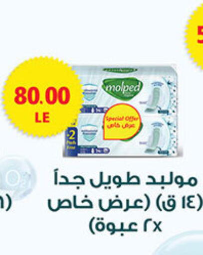 Feminine Hygiene in El Gizawy Market , Egypt Offers - Egypt available at El Gizawy Market in Egypt - Cairo