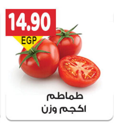Fresh Vegetables in El Gizawy Market , Egypt Offers - Egypt Tomato available at El Gizawy Market in Egypt - Cairo