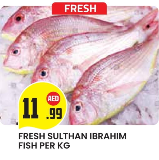 available at Baniyas Spike  in UAE - Abu Dhabi