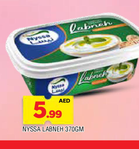 Yogurt & Labneh in AL MADINA, UAE Offers - United Arab Emirates Labneh available at AL MADINA in UAE - Sharjah / Ajman